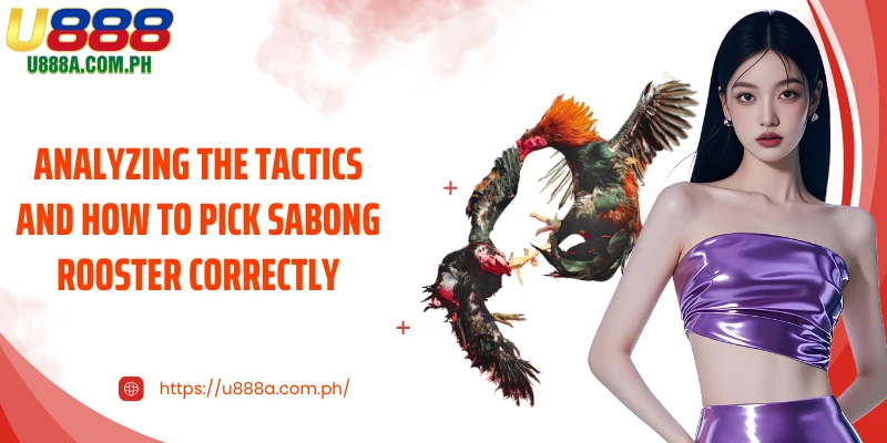 Analyzing the Tactics and How to Pick Sabong Rooster Correctly