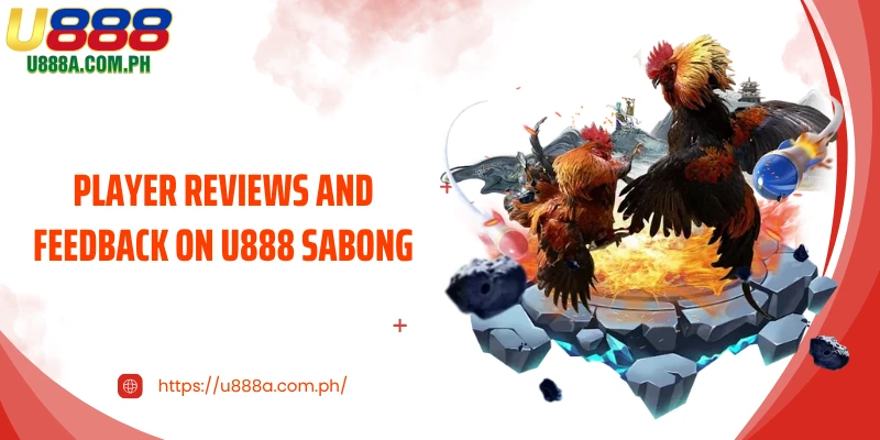 Player reviews and feedback on U888 Sabong