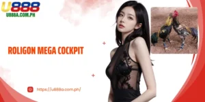 Roligon Mega Cockpit - A Renowned Event At U888