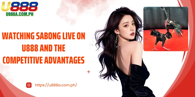 Watching Sabong live on U888 and the competitive advantages